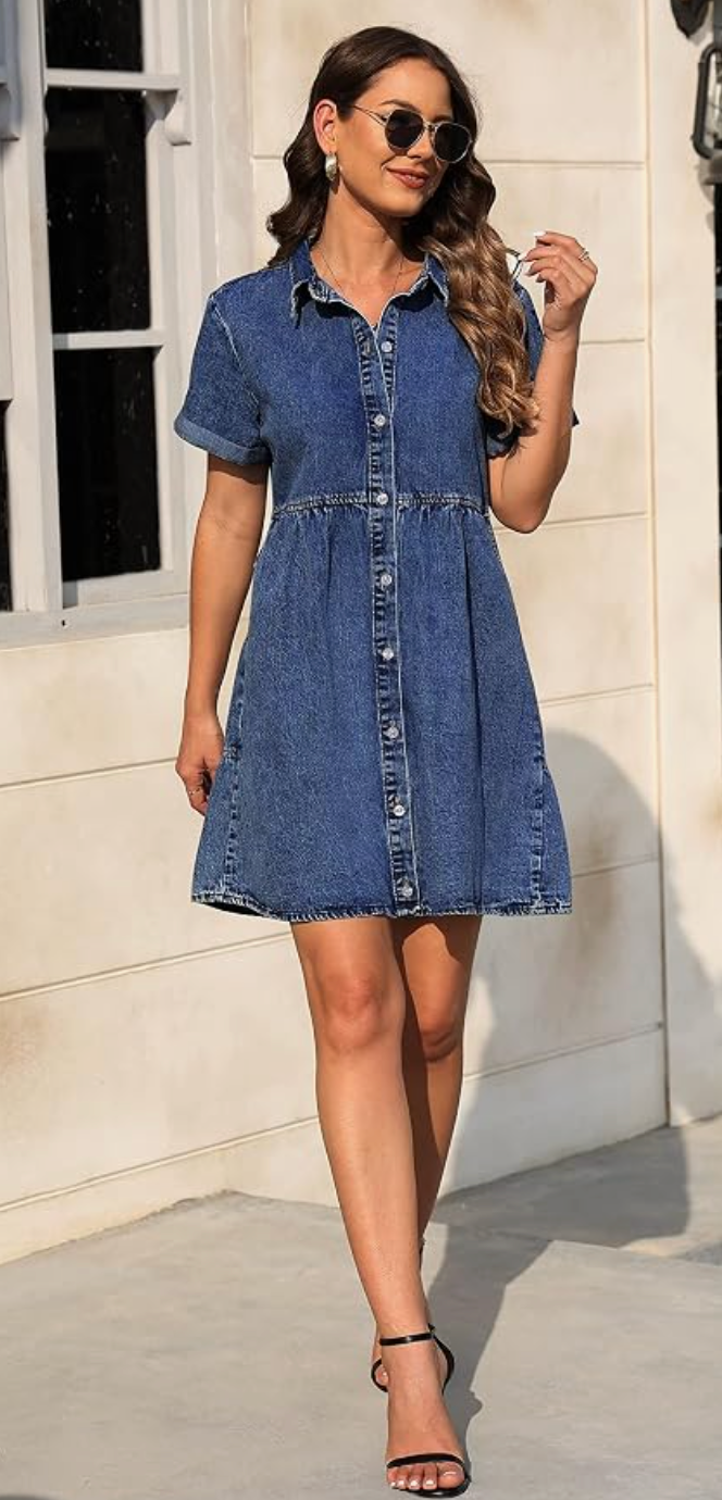 Savena Denim Dress