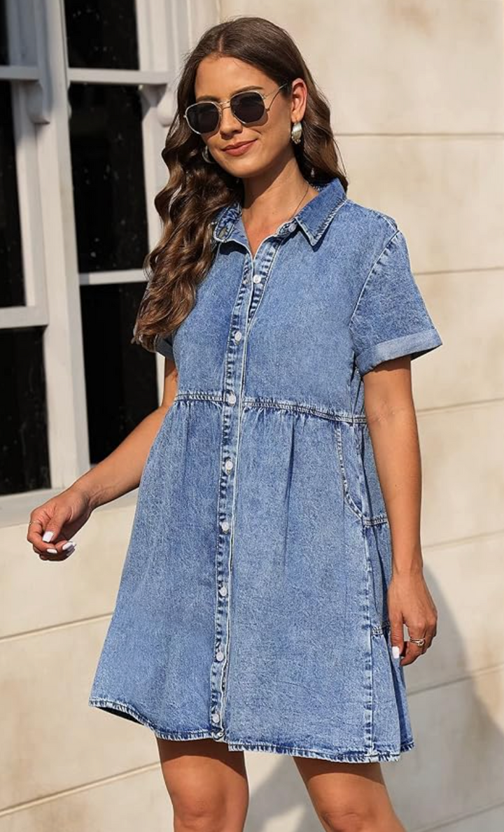 Savena Denim Dress