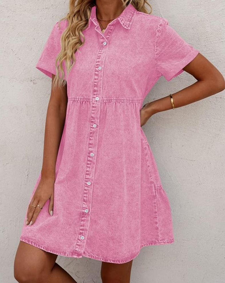 Savena Denim Dress